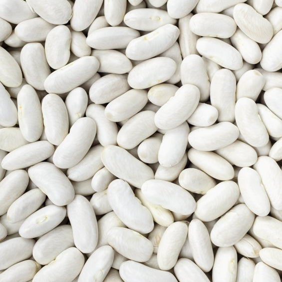 Alubia Beans