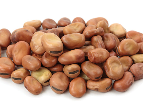  Fava