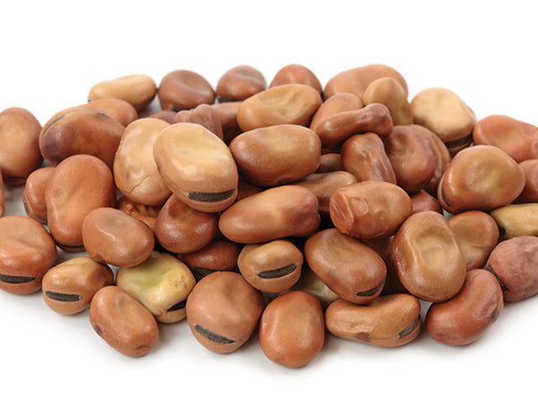 Fava