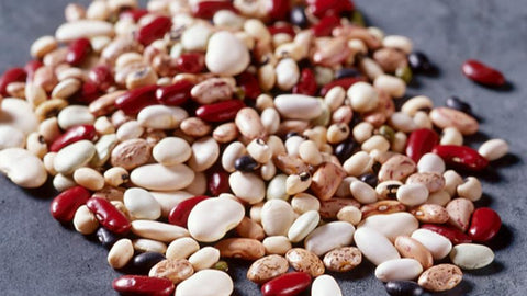  Kidney Beans
