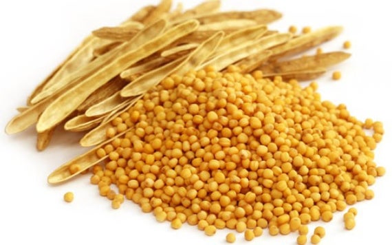 Mustard Seeds