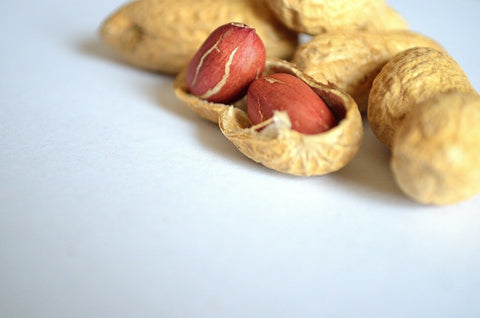  Peanut