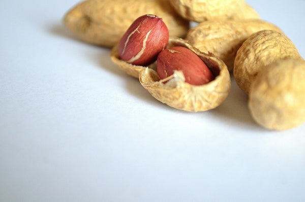 Peanut