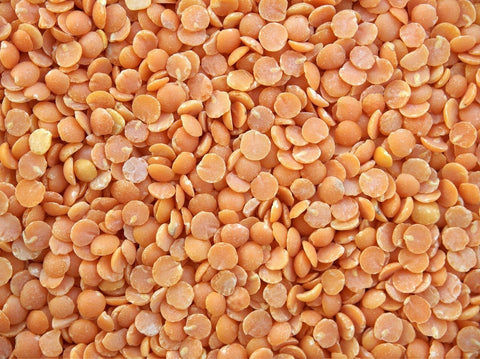  Lentil