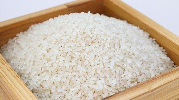 All Rice